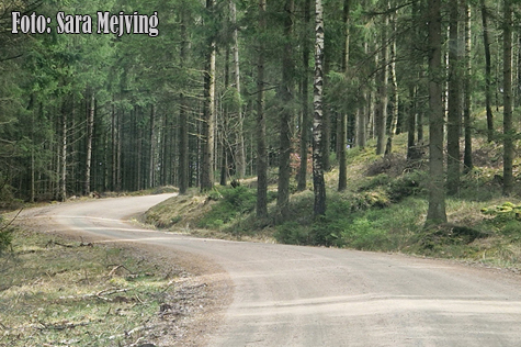 © Sara Mejving, Skillingaryds MK.